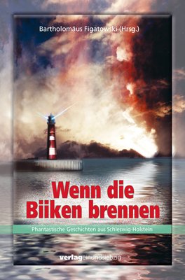 Cover zum Buch Wenn die Biiken brennen