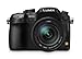 Produktbild 'Panasonic GH3 Compact Hybrid 16 Megapixel, 3-Display + Obj 14 – 140 mm schwarz