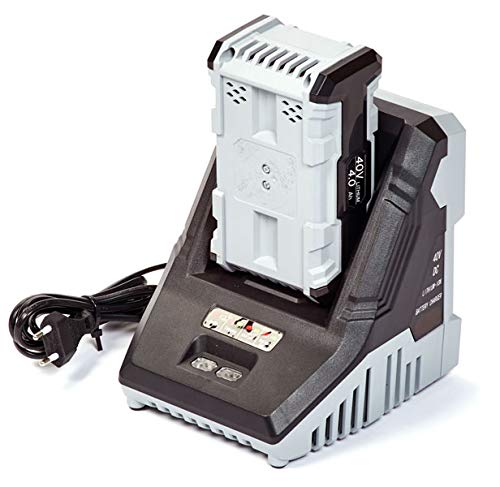 Preisvergleich Produktbild aqua2go Ladegerät 40V für KROSS Fahrrad