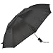 Swastik Polyester 2 fold Umbrella (21 inch, Black/Silver) RS.249.00