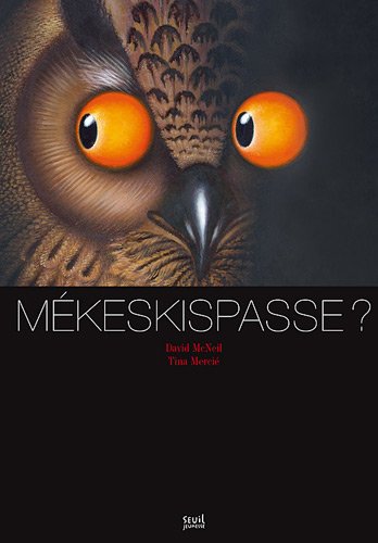 couverture de : M&eacute;keskispasse ?