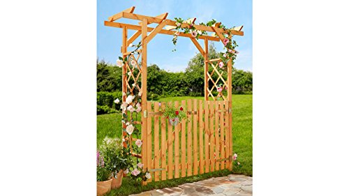 PROMADINO Set: Pergola Ben, mit Tür, honigbraun, B/T/H: 200/65/208 cm