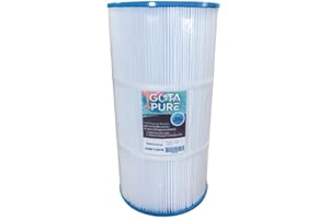 Gota Pure - Filtro de piscina HW100S para Hayward Swimclear C100SE / CX100XRE