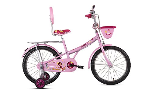 bsa bicycle for kids