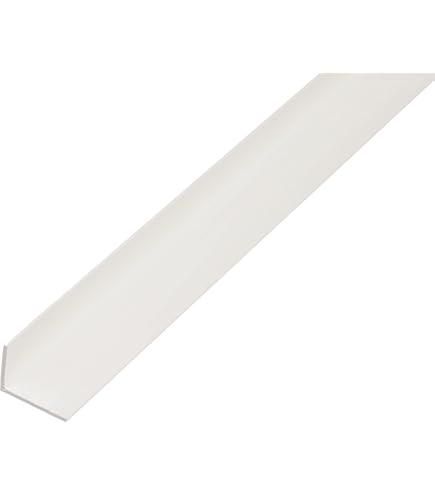 KAISERTHAL Hoekprofiel 15x15x1,5 mm RVS 100 cm kopen
