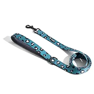 Heavy Duty Leash for Big, Medium, Small Dogs, and Puppies - Training Leash Perfect for Walking by Furry & Co. (Medium)