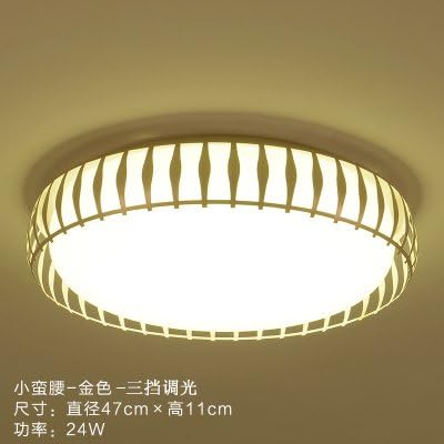 yxhflo Round bedroom light minimalist modern room lightsLedThe warm living room study restaurant ceiling Light Dimmer,Crazy Boy waist-Gold-Third Gear dimming