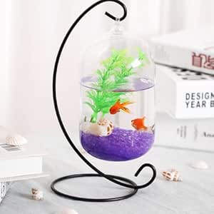Buy O Roselif Big Size Glass Vase Home Decor Aquarium Suitable