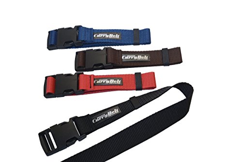 CarryBelt "Toulon 25 E" Spanngurt / Zurrgurt mit Steckschnalle Kunststoff - 25mm Gurtbreite / 1teilig in Längen- & Farbauswahl - Outdoor Haushalt KFZ Camping Multisport Caravan Motorsport Garten