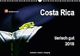 Costa Rica tierisch gut 2018 (Wandkalender 2018 DIN A3 quer): Costa Ricas unglaublich vielfältige Tierwelt in freier Wildbahn eingefangen - kunterbunt ... [Kalender] [Jul 21, 2014] Bergwitz, Uwe by 