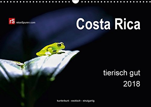 Costa Rica tierisch gut 2018 (Wandkalender 2018 DIN A3 quer): Costa Ricas unglaublich vielfältige Tierwelt in freier Wildbahn eingefangen - kunterbunt ... [Kalender] [Jul 21, 2014] Bergwitz, Uwe