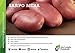 Produktbild Portal Cool 1 kg: 1 kg Sarpo Mira Saatkartoffeln - Certified Scottish Seed (Klasse Se) Maincrop