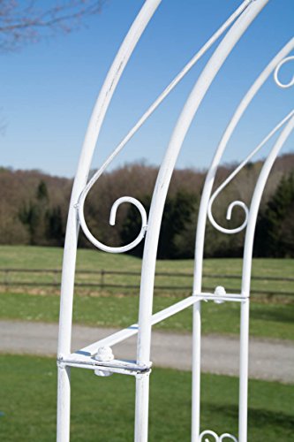 CLP Eisen Rosenbogen MELISSA mit Tor / Tür, Doppeltor Höhe 150 cm, Maße gesamt: Breite 120 cm, Höhe 220 cm, Tiefe 40 cm antik-weiß - 5