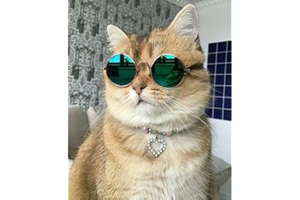 RvPaws Pet Sunglass, Cat Goggles Glamorous Eye Protection Eye Wear Protection Waterproof Pet Sunglasses for Cats with Fashion Flair for All (Multicolour)