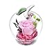 Produktbild Wei Xi Handgefertigt Blumen Rose Dekor mit Apfelform Glas - Beste Geschenk für Love Christmas Eve Valentinstag Muttertag Geburtstag Jäten Jahrestag rose