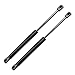 Price comparison product image 6N0827550A 6N0 827 550 6N0 827 550 6N0 827 550 A 613297 2 x Suspension Strut Shock Support Support Support Support Support