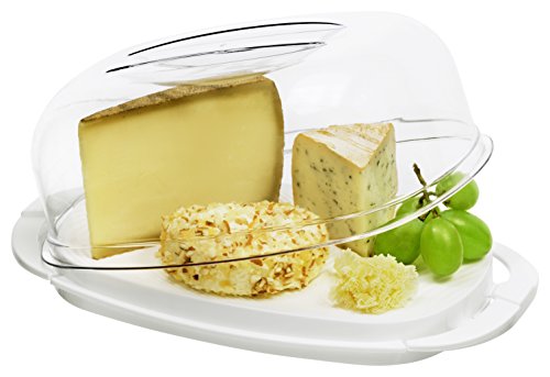 Rotho Käseglocke „Fresh“ – Käse Box mit glasklarer Haube aus Kunststoff (SAN) – blau/transparent, spülmaschinengeeignet, ca. 29x17x10,5 cm (LxBxH) - 2
