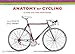 Produktbild The Anatomy of Cycling: 22 Bike Culture Postcards