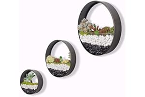 Ecosides Macetas Colgantes Pared Modernas,Ronda Metal Maceta para Flores con Soporte Extraíble para Sala de Estar,Balcón,Jardín Montaje de Pared Macetero Plantador con Orificio de Drenaje