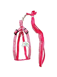 PSK PET MART Adjustable Nylon Bone Print Harness & Leash Set for Cats, 10mm (Color May Vary)