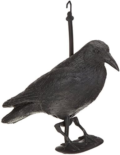 Hillfield Raven / Crow Decoy Bird Scarer, 38 cm, Black, Set of 1 - 12