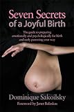 Image de Seven Secrets of a Joyful Birth (English Edition)