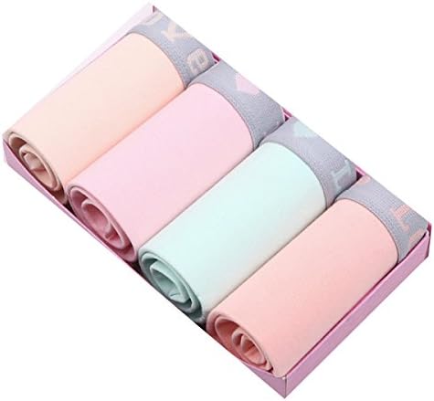 CHLXI Ladies Underwear In The Waist Underwear Box Cotton Comfort Soft 4-Pack,E-M