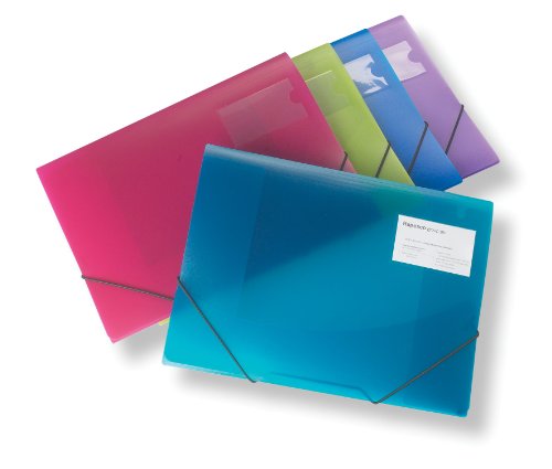 Rapesco documentos - Carpeta de tres solapas A4   colores variados trasl  cidos  5 unidades