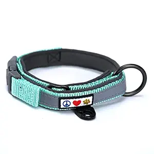 Pawtitas Lumberjack Dog Collar Padded Dog Collar Reflective Dog Collar Puppy Collar Training Dog Collar Neoprene Collar Extra Small Dog Collar Teal Dog Collar