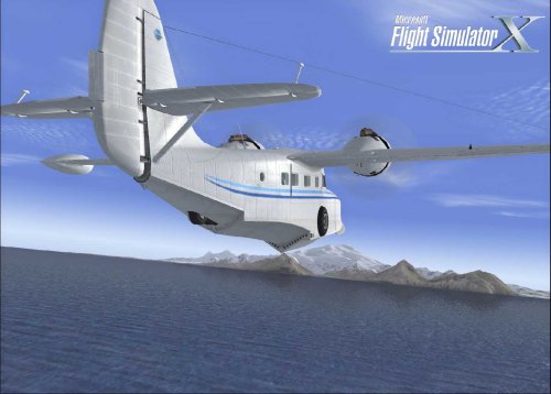 Flight Simulator X - Professional Edition  Importaci  n alemana 