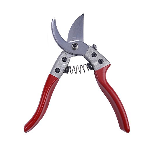 Gartenschere – Smaier Hand Schneide Schere zum Schneiden von Hecken, Unkraut, Rasen und zum Gras Schneiden Rosenschere ideal für professionelle Gartenarbeiten – Ergonomischer Griff - 4