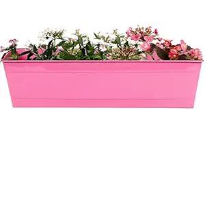 TrustBasket Rectangular Railing Planter -Magenta (23 Inch)
