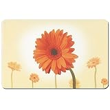 Consta de plástico PP. kela \"Gerbera - Manteles Individuales, plástico, Naranja/Blanco, 43 x 28,5 cm
