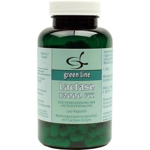 Preisvergleich Produktbild LACTASE 12.000 FCC Kapseln 120 St