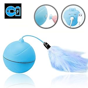 WLMall Juguete Gato Pelota – Carga USB Bola Giratoria Automática – Batería Recargable Incorporada ＆ con Pluma Desmontable – para Ejercicio Animal Doméstico (Azul)