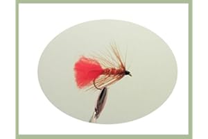 TROUTFLIES UK WET FLIES Soldier Palmer Wet Fly, 6 Pack, Choice of Sizes, Wet Trout Flies for Fly Fishing