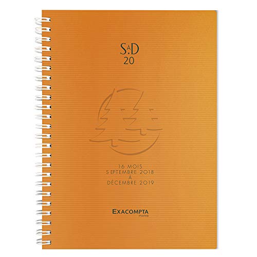 Télécharger Exacompta Linicolor SAD 20W Agenda Scolaire Semainier de Bureau 21 x 15 cm Septembre 2018 à Décemb Livre eBook France