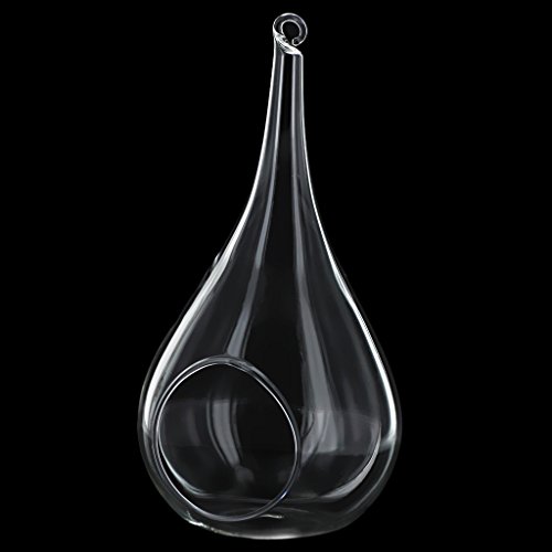 Gazechimp Transparent Kegelglas Wand Hängen Glas Vase Für Pflanzen Blumen Wohnzimmer Wand Dekor - 4