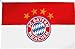 Produktbild FCB Fahne Flagge Hissfahne Logo 250x150 FC Bayern München