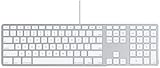 Apple Keyboard (MB110B/B)