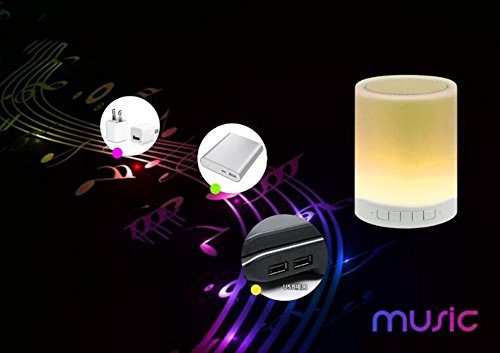 WY&WYLED emotionales Audio-festliches Geschenk Lampe tragbares tragbares wasserdichtes Bluetooth-Audio