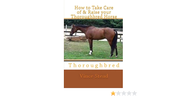 How To Take Care Of Raise Your Thoroughbred Horse Amazon De Stead Vince Fremdsprachige Bucher