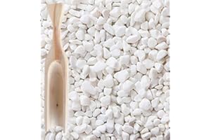 Viparplant Pierre décorative de jardin blanche avec pelle artisanale en bois 1 kg - Gravier long long pour jardin vases pots