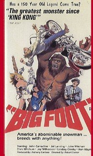 Preisvergleich Produktbild Big Foot [VHS]