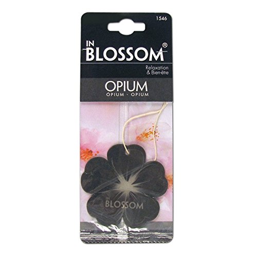 Preisvergleich Produktbild Lufterfrischer Auto suspendable Rückspiegel in Blossom Opium