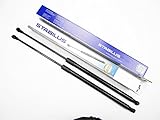 LIEFERUMFANG: 2x Stabilus Gasfeder