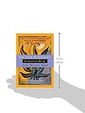 Image de Four Agreements Companion Book: Using the Four Agreements to Master the Dream of Your Life