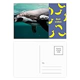 Material: hochwertiges und glattes Papier.