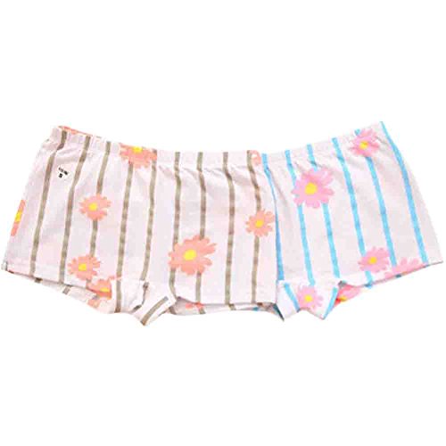 Set of 2 Cute Girls Underwears Children Cotton Underwears(Teenage Girl)