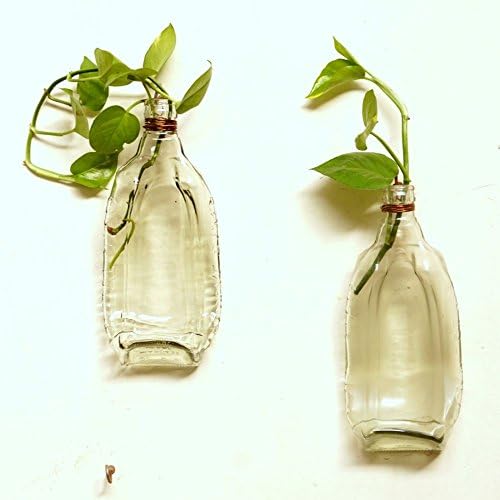 Wonky Works Home Decor Ideas Planters Garden 2 Clear Chappat Planters - Set Of 2 Clear Plant And Flower Pot